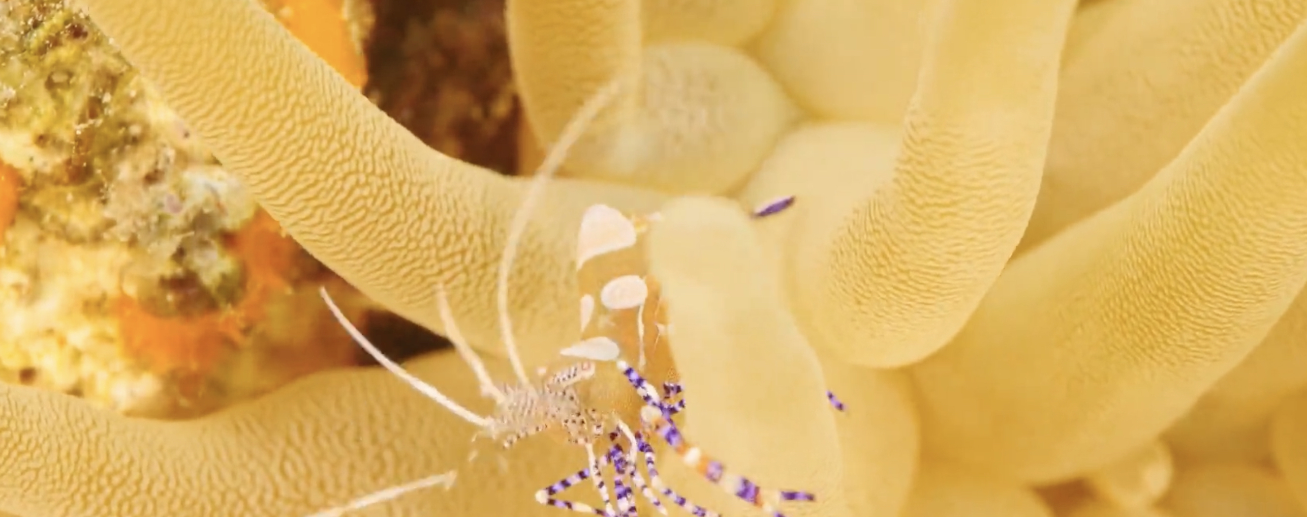 Featured image for Join us for a workshop: The Art of Communicating Science